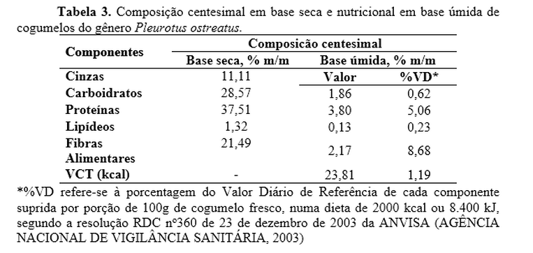 Cogumelo Do Cogumelo E Do Shimeji De Ostra Do Rei E Cogumelo O De